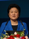 第十三届中国科协年会开幕 刘延东出席并讲话