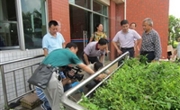 江门市病媒生物防制协会参与市爱卫会登革热防控督导