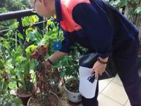 江门市病媒生物防制协会除四害专业队奋战防控登革热