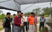 肇庆科协到全国科普示范县（市）高要市调研基层科普工作