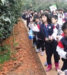 佛山市狮山中心小学到市林科所开展第二课堂活动