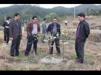 河源市科协组织专家到龙川县调研水晶梨种植情况