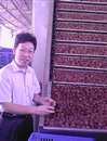惠州市科协党组书记、主席邹平生到惠东四季鲜绿色食品有限公司调研