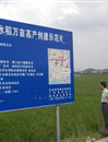 汕尾市陆丰市科协组织开展晚造农业生产调研指导活动