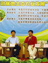 东莞市召开“高效蕉地生态农业发展”创新论坛