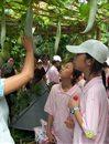 江门市新会现代农业基地获全国科普教育基地特色科普活动项目表彰