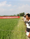 江门台山市水步镇科协举办2013年水稻病虫害防治演练培训班