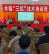 江门市农学会在恩平科技服务站举办水稻“三控”技术培训班