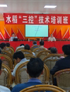 江门市农学会在恩平科技服务站举办水稻“三控”技术培训班