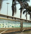 化州市科协新建的位于市府广场西侧的科普画廊