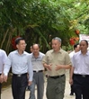 何真在肇庆市调研科协工作时强调