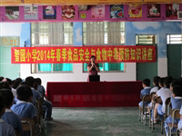 深圳市宝安区举行科普走基层系列活动