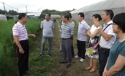 江门市政协副主席赵树培到塘口镇开展科普示范镇街创建工作调研