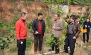 肇庆市科协到城区基层看望慰问科技工作者