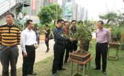 惠州市科协领导到惠阳区调研