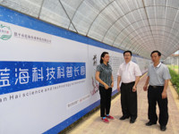 恩平市蓝海农业科技有限公司航天育种科普示范基地初显成效