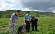 江门市科协到恩平市恩城街道顶冲村指导扶贫工作