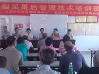 河源市科技咨询服务中心联合东源县科协举办水晶梨收后管理技术培训班