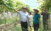 河源市和平县科协开展送科技下乡活动