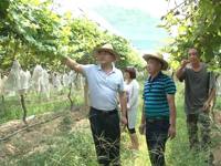 河源市和平县科协开展送科技下乡活动