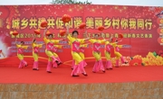 惠州市惠城区2016年“科技、文化、卫生”三下乡活动启动