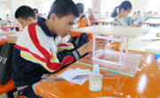 佛山市举办青少年建筑模型比赛