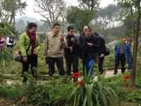 江门市药学会组织中药学科青年前往龙口镇开展采集南药实操活动