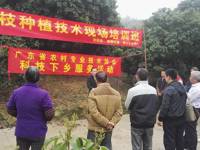 河源市科协举办荔枝种植技术现场培训班