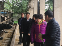 汕头市科协到濠江区澳士兰公司调研指导工作