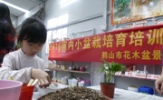 鹤山市花木盆景协会举办“大手拉小手-亲子乐淘淘”科普体验活动