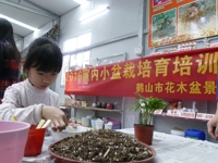 鹤山市花木盆景协会举办“大手拉小手-亲子乐淘淘”科普体验活动