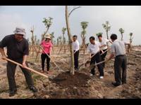茂名市科协、科技局在露天矿生态公园种下“科技林”