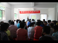 惠州市惠城区科协开展农业科技下乡服务