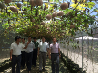 惠州市科协到惠州亚维浓生态园调研