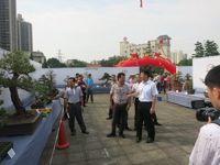 惠州市惠阳区首届盆景文化艺术展览会开幕