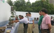惠州市惠阳区科协看望盆景协会参展会员