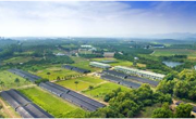 江门市林业和园林局实施纲要助力创森红岭同行打造科普教育基地