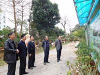 惠州市惠阳区科协到区盆景协会指导工作