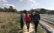 茂名市电白区华宝种养专业合作社科普示范基地挂牌成立
