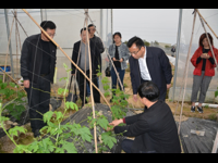 省调研组考察广东和利农种业股份有限公司“广东省院士专家企业工作站”筹建工作