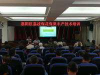 惠州市惠阳区举办荔枝保花保果丰产技术培训班