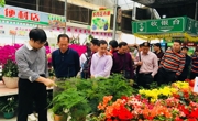 惠州市惠阳区青科教协会到清远市清城区学习交流