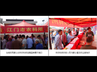 江门市农科所在开平金鸡镇开展科技下乡科普集市活动