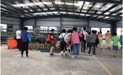 台山市高新竹艺示范基地举办乡村青少年富贵竹造型工艺比赛