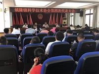 惠州市惠阳区全区镇（街）科协换届工作圆满完成