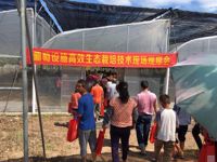 新会区崖门镇第四届葡萄文化节在浩伦生态农业科普基地举行