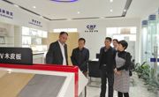 惠州市摩彩公司科协推动技术创新结硕果