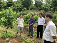江门市科协调研组到台山市开展复工复产调研工作