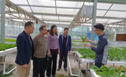 省青少年科技教育协会领导到惠州市惠阳区考察调研