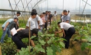惠州市九龙现代化蔬菜科普基地举办蔬菜嫁接技术培训班